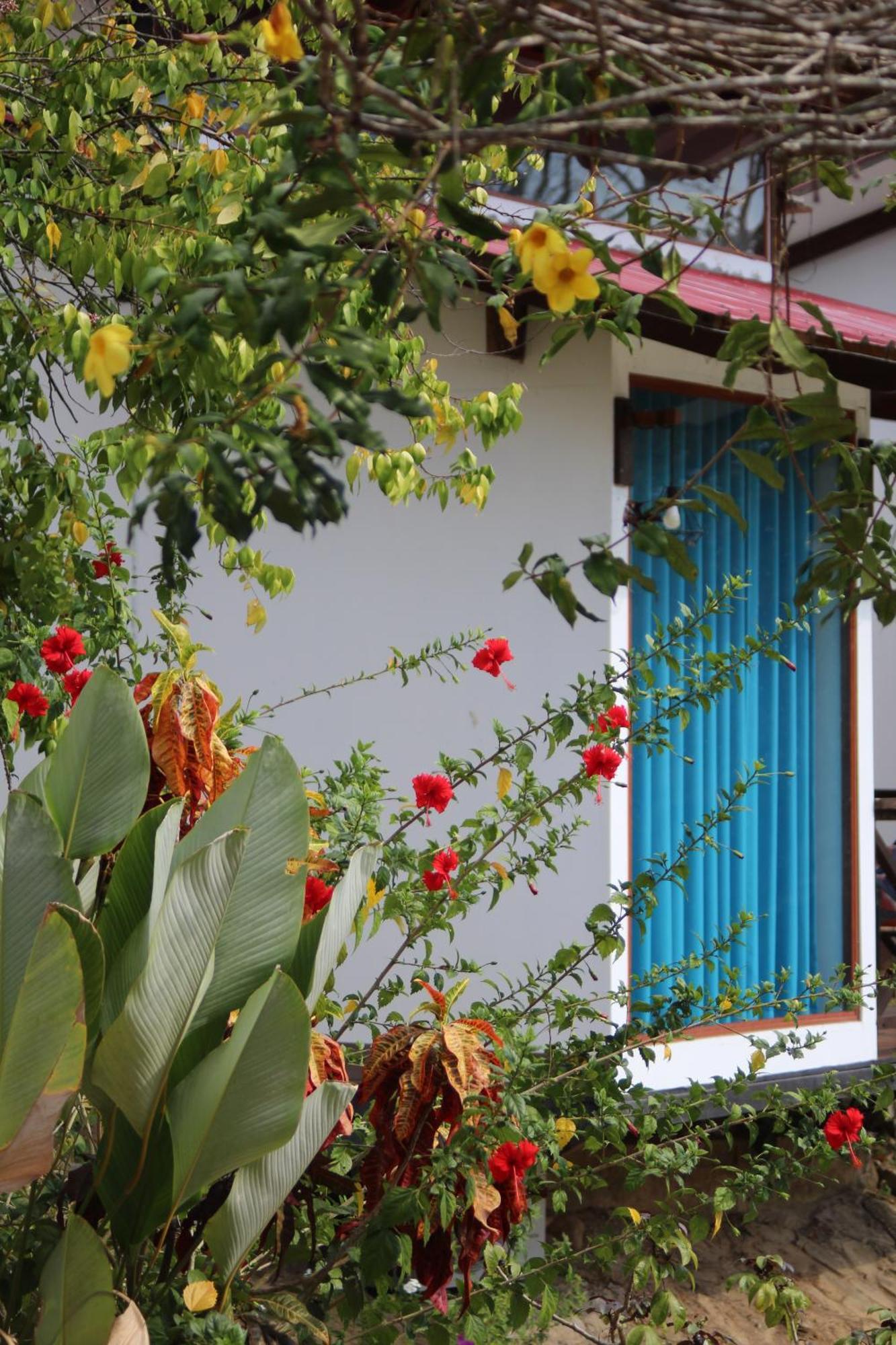 Hacienda Don Vicente Bungalows-Tarapoto Eksteriør billede